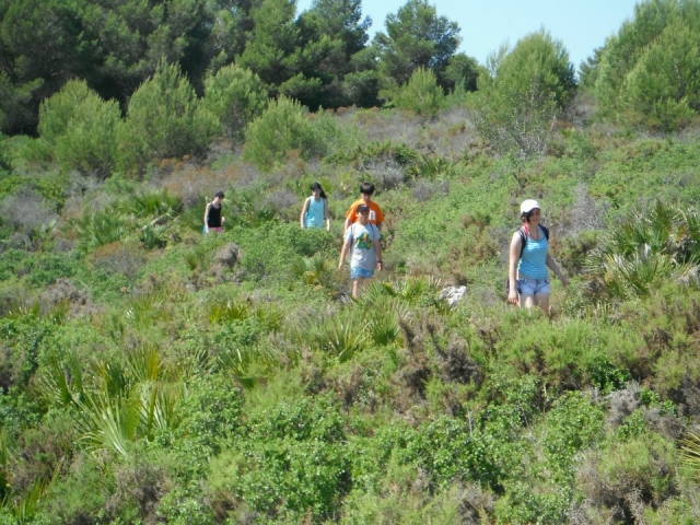 Paseo entre arbustos salvajes